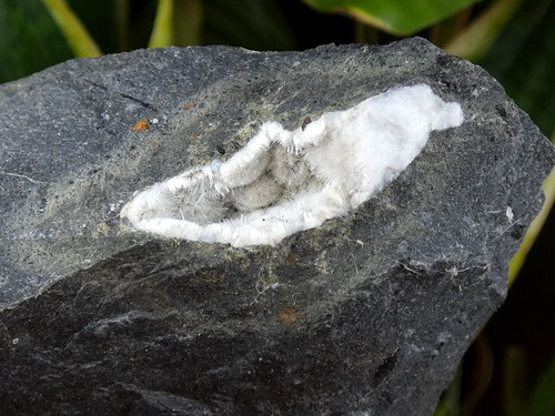 Natrolite