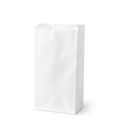 10kg sacchetti carta bianca - carta,