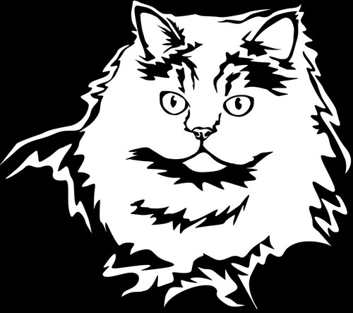 Adesivo gatto persiano - persiano,