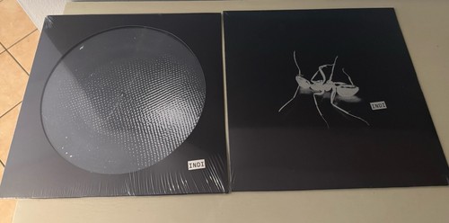 Gazzelle indi vinile picture - indi,