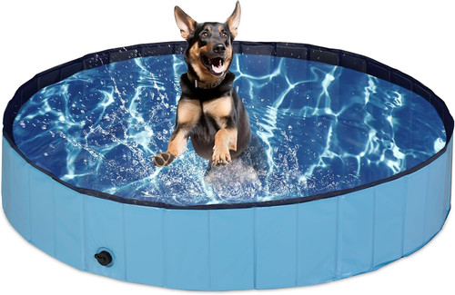 Piscina per cani - piscina, taglia