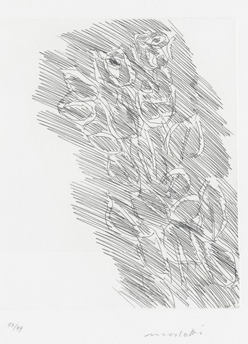 Morlotti ennio rose - ,
