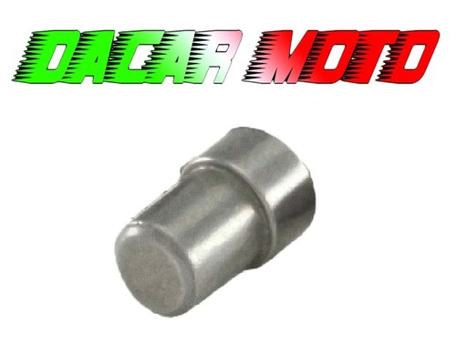 Perno guida variatore aprilia - guida,