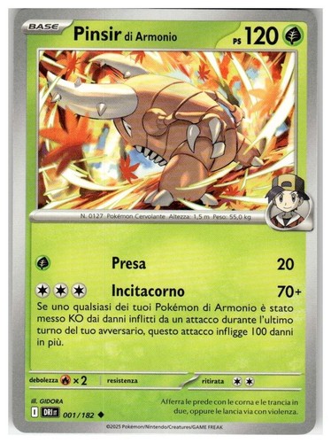 Pinsir armonio 001 182 - pinsir,