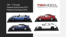TSM 1/18 Resin limited edition