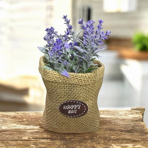 Pianta artificiale lavanda - pianta, in