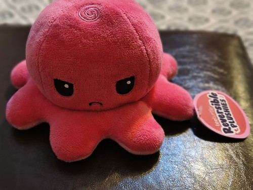 Teeturtle the original polpo - teeturtle,