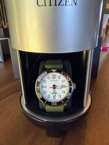 Citizen promaster uomo quarzo - promaster,