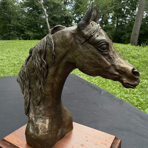 Busto testa cavallo mary - cavallo,