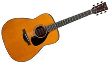 Chitarra acustica-elettrica