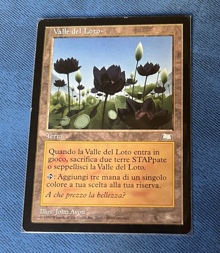 Valle del loto - valle, lotus