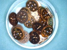 Ricambi originali ETA 2776 / 2772 2789 + molti altri calibri TUDOR (ROLEX) N.O.S.