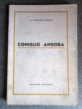 Maiocco Francesco - Coniglio