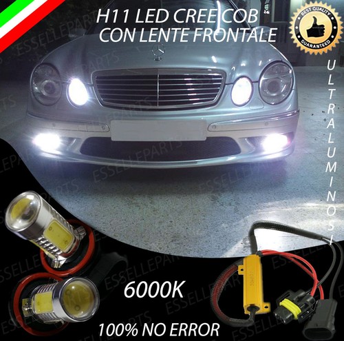 Coppia lampade fendinebbia h11 - lampade,