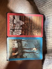 2 carte da gioco VNG CMPLT con
