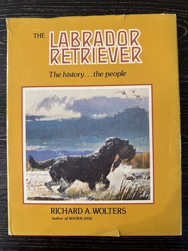 The labrador retriever - retriever,