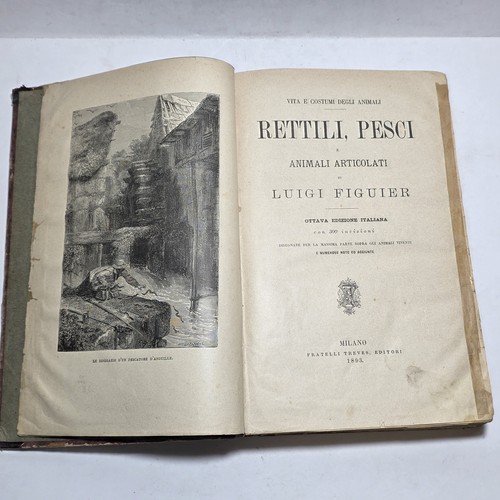 Libro antico vita - libro, costumi