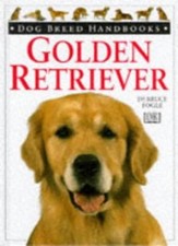 Golden retriever dog breed - dog,