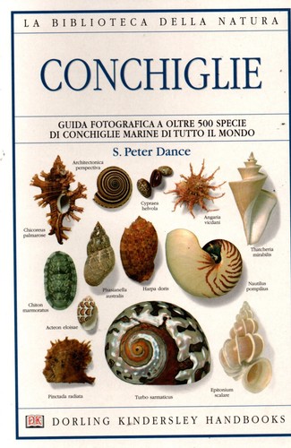 Conchiglie guida fotografica - , a