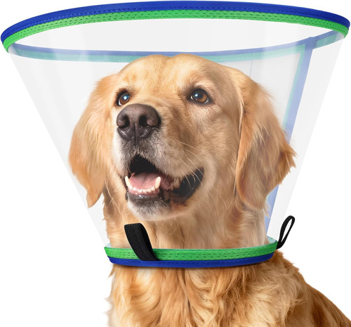 Collare elisabettiano cane - collare,