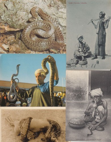 Snakes serpents vintage - serpents, 15