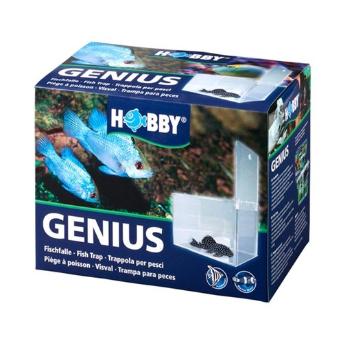 Trappola per pesci - , hobby