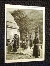 Nel Parco Nazionale d'Abruzzo