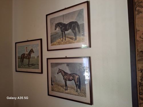 Quadri olio pittura - quadri, ad
