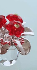 Swarovski. Primula Rossa.
