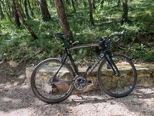 Pinarello dogma - pinarello, (59.5)