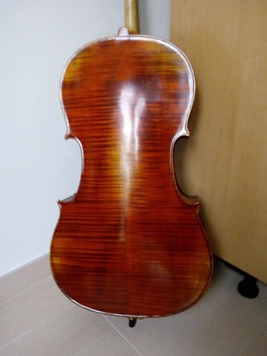 Violoncello con custodia - violoncello,