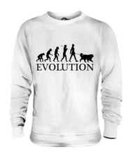 Cane Bovaro Bernese Evolution