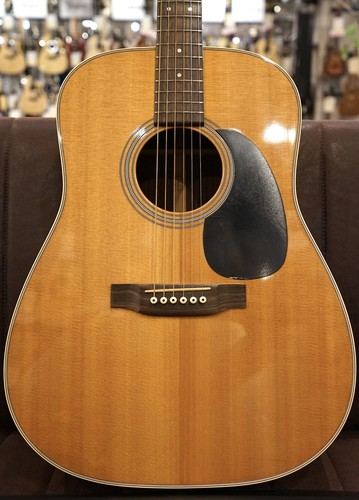 Dado osseo chitarra acustica