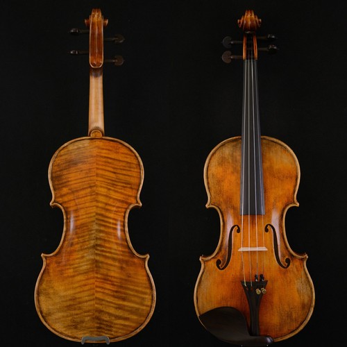 Violino livello concerto