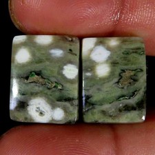 24,20 ct. Coppia di cuscini in