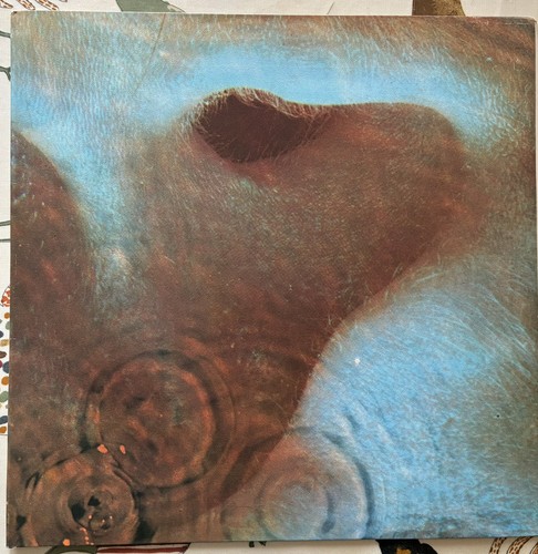 Pink floyd meddle - pink, “