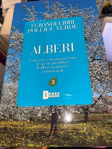 Grandi libri pollice - grandi,