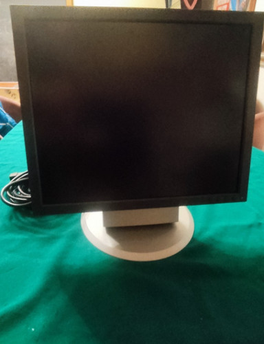 Eizo monitor monochrome - monitor,