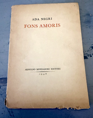 Ada negri fons amoris - -,