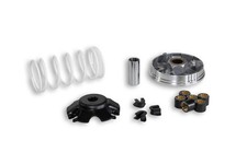 Variatore Multivar Malossi per