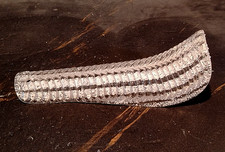 GRANDE FOGLIA IN VETRO DI