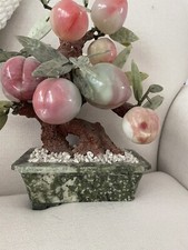ALBERO BONSAI DI GIADA PESCO
