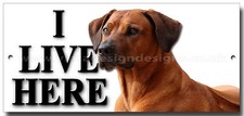 INSEGNA IN METALLO RHODESIAN RIDGEBACK "IO VIVO QUI", RAZZE DI CANI, AVVERTIMENTO, SEGNO DI SICUREZZA.