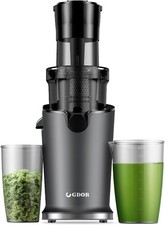 GDOR Slow Juicer Machine