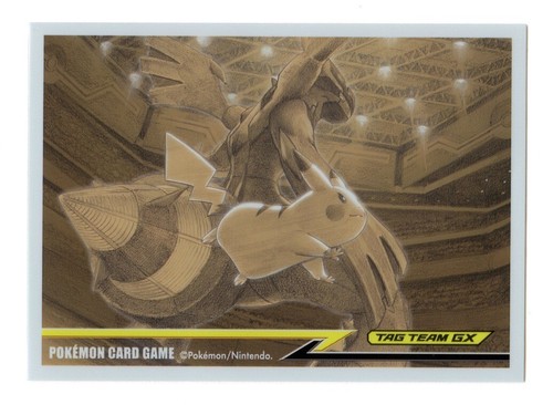 Pikachu zekrom tag team - tag,