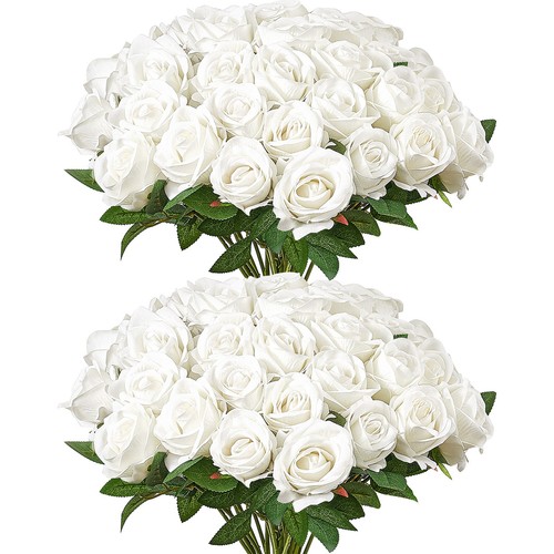 Vevor pezzi rose bianche - rose,