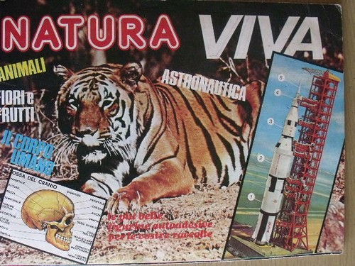 Album natura viva anni ed - album,