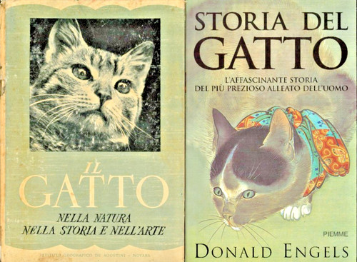 Storia del gatto engels il - del, engels+il