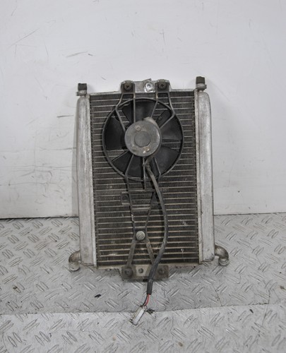 59754 radiatore - 59754, +