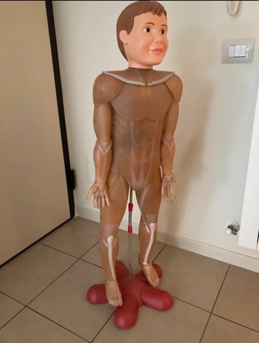 Corpo umano rba - corpo,